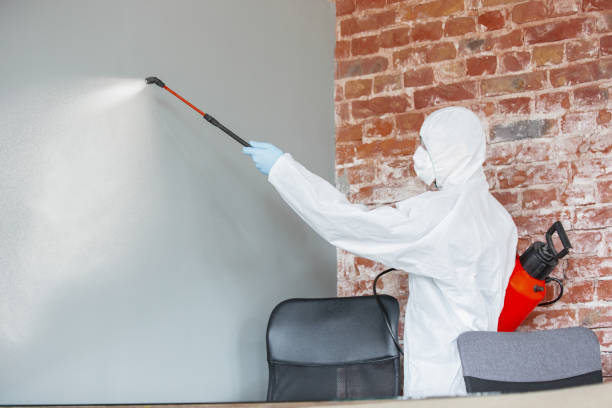 Environmental Consulting for Mold Prevention in Sandia Knolls, NM