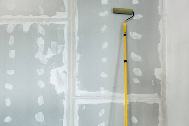 Asbestos and Lead Testing During Mold Inspection in Sandia Knolls, NM