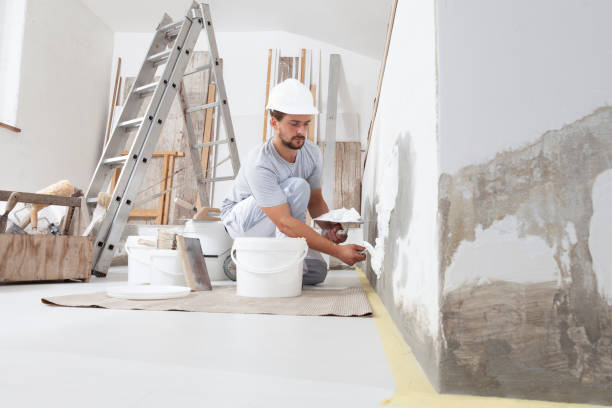 Best Mold Damage Restoration  in Sandia Knolls, NM