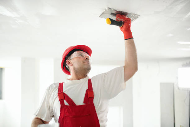 Best Commercial Mold Inspection  in Sandia Knolls, NM